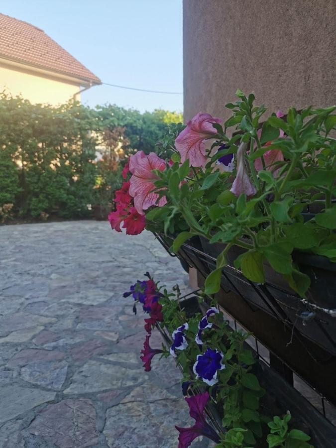 House Leyla Ξενοδοχείο Bihać Εξωτερικό φωτογραφία
